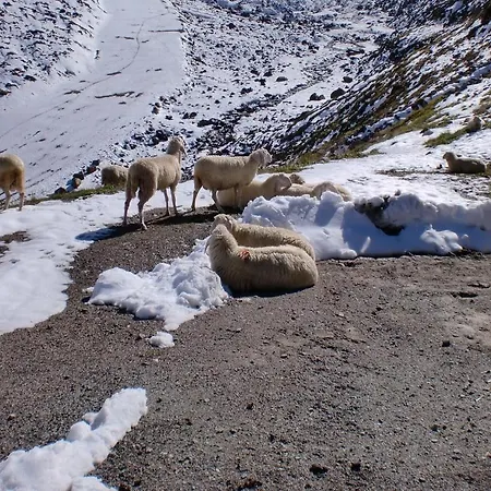 Felsenstueberl Gasthuis 3*