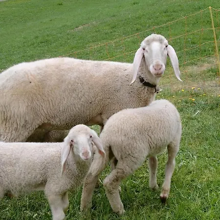 Affittacamere Felsenstueberl 3*