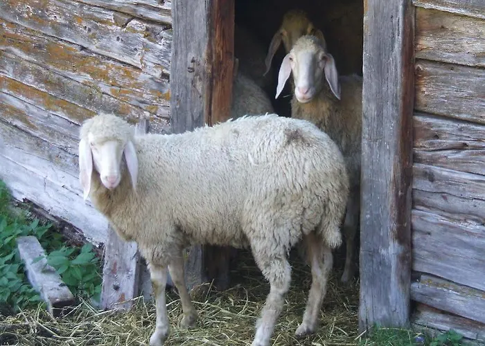 Felsenstueberl 솔덴