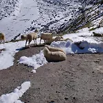 Felsenstueberl Guest house 3*