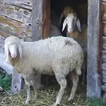 Felsenstueberl Solden