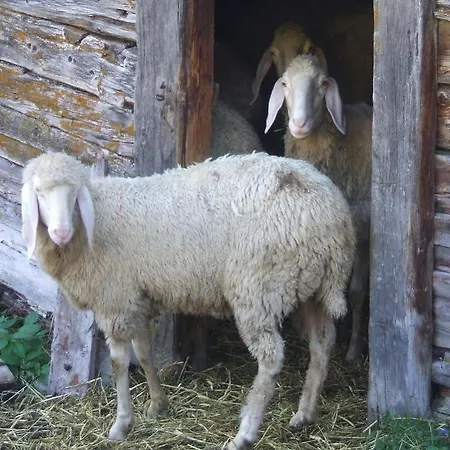 Felsenstueberl Ζόλντεν