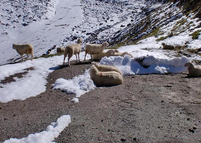 Felsenstueberl Gæstehus 3*