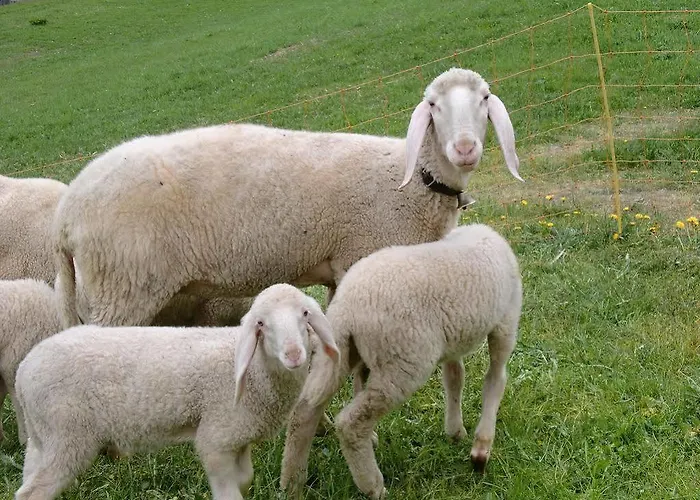 Gæstehus Felsenstueberl 3*